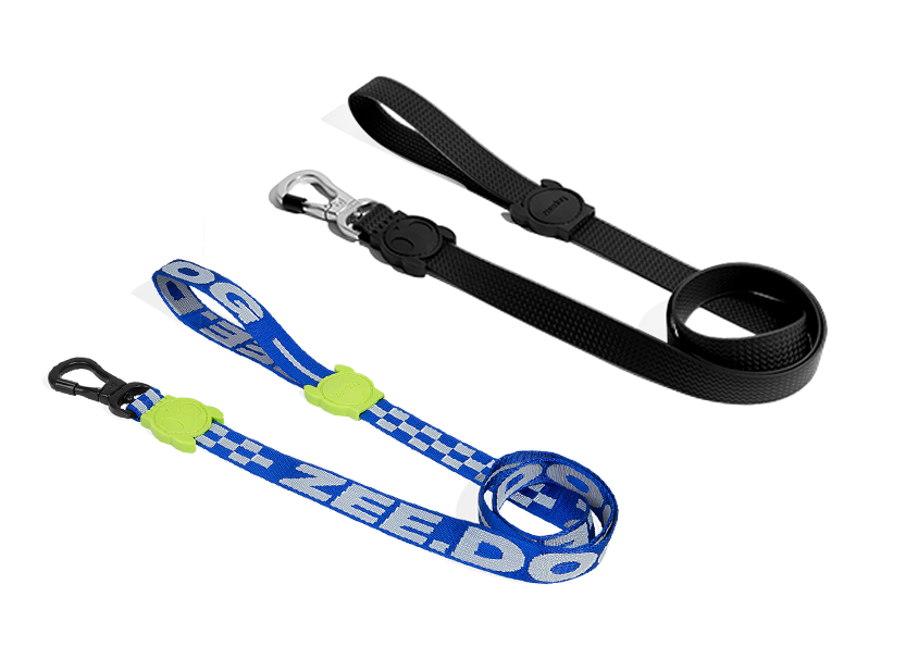 Acessórios para cães